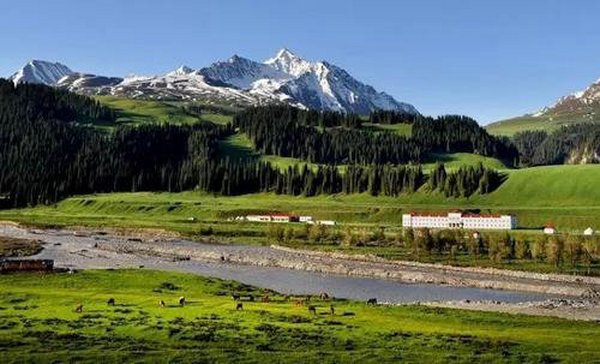 伊宁机场特价机票查询与机场航空售票处电话