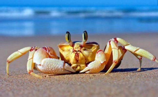 常德桃花源机场停车场收费多少钱一天