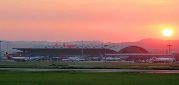 宠物可以搭飞机吗？宠物搭飞机需要准备些什么？