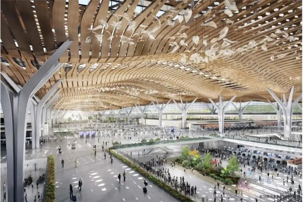 奥凯航空无人陪伴儿童机票价格，奥凯航空无人陪伴儿童年龄