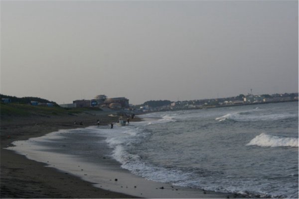 茨城回国航班最新消息，茨城回国前需要什么？