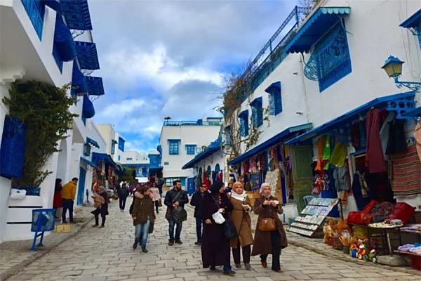 突尼斯回国航班有哪些，突尼斯回国机票价格