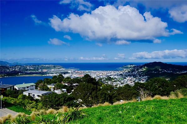 2024五一节机票什么时候买最合适,2024年五一飞机票会便宜吗