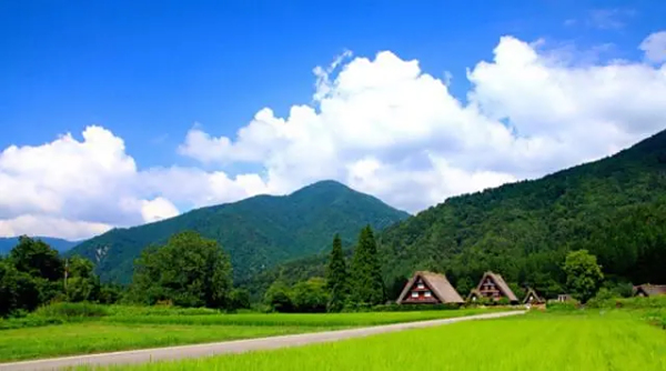 40人团体买机票怎么买便宜,机票团体票怎么订