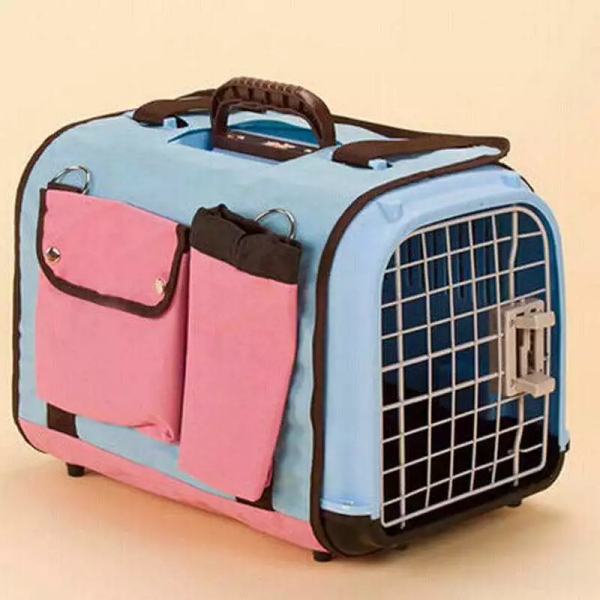 宠物跟随主人飞机托运需要什么手续多少钱