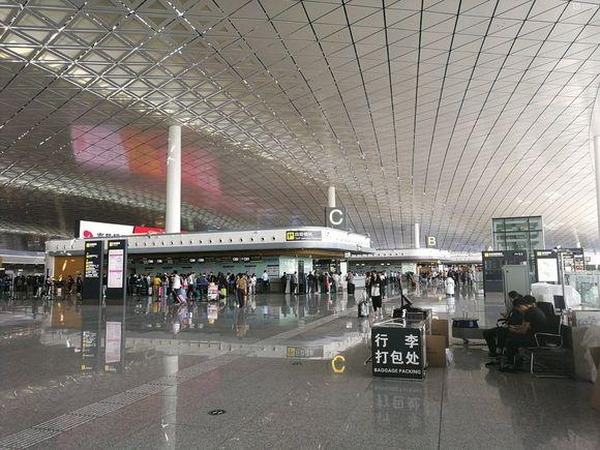 买机票几个人可以团购,人多团购飞机票怎么买