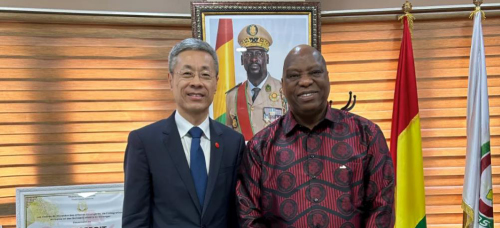 驻几内亚大使会见几外长库亚特