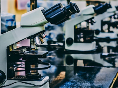 青少年脊柱健康水平现状——以同济大学为例