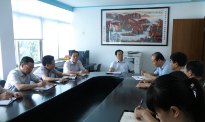 区委梁冠斌副书记携各口领导听取公司