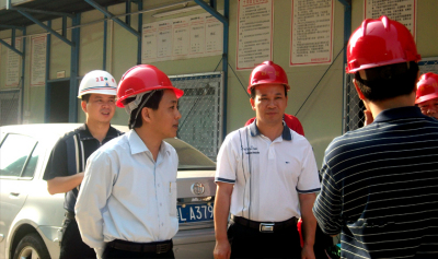 区委黄干强书记视察我司工地