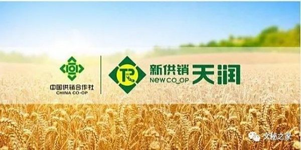 粮食安全|直击储备一线