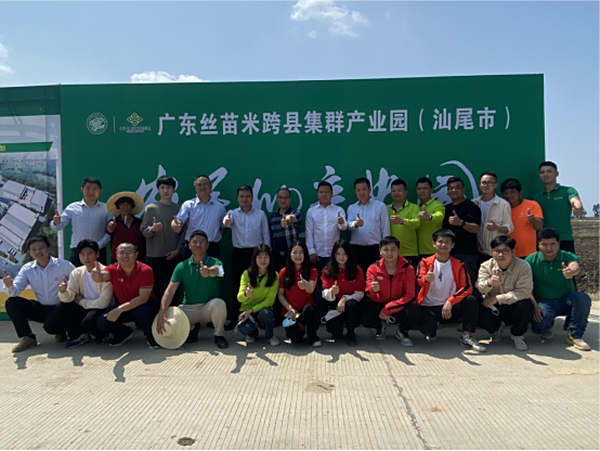 汕尾市春耕现场会在广东丝苗米跨县集群产业园召开