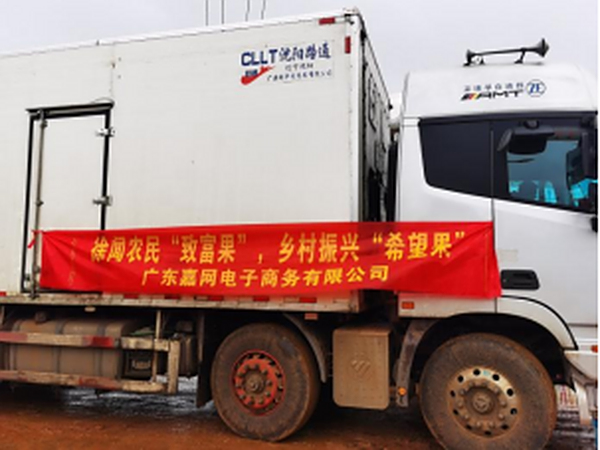 供销联盟供销行  乡村振兴菠萝情