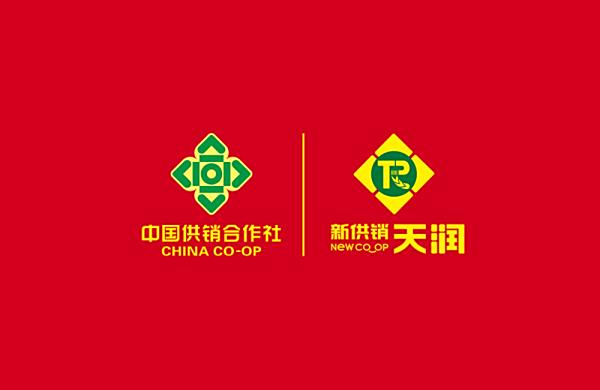 金兔迎新春 | 凝心聚力谱新章 奋发有为开新篇