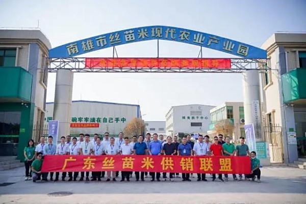 签约采购4万余吨！2022广东丝苗米产销对接会顺利举行