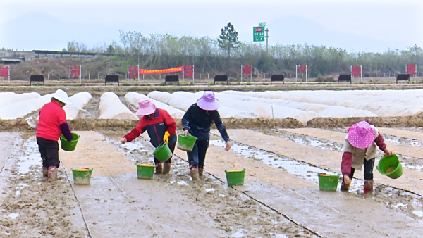 抢抓农时，产业园高质量推进春耕备耕