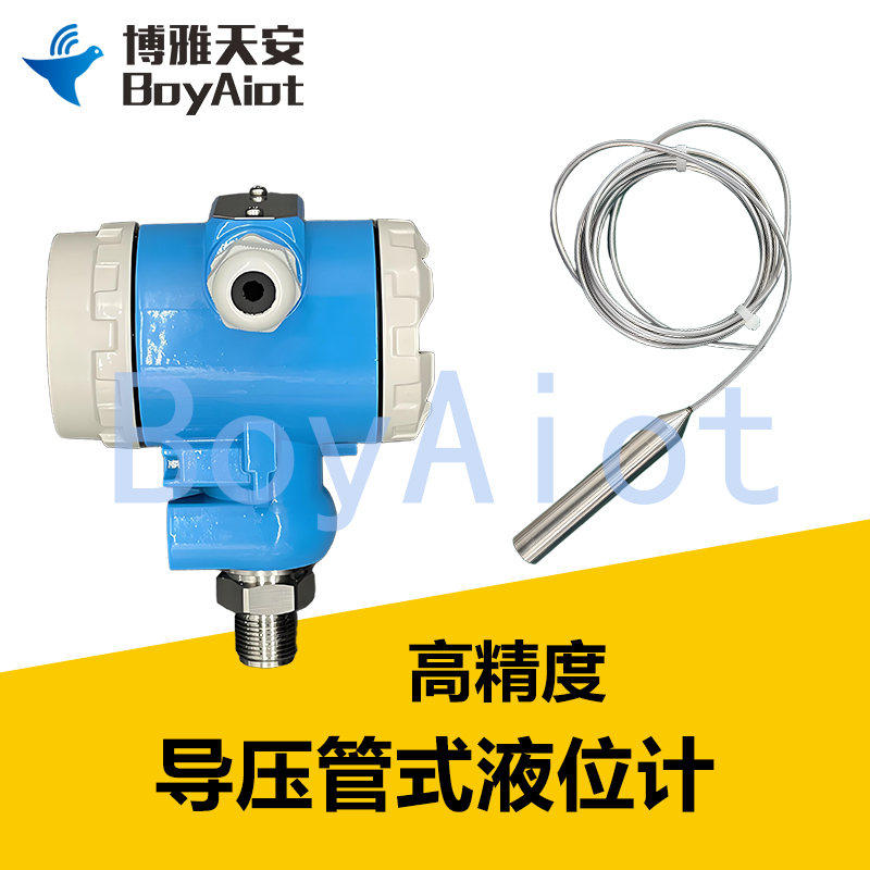 BOY-WR04-SP 导压管水位计
