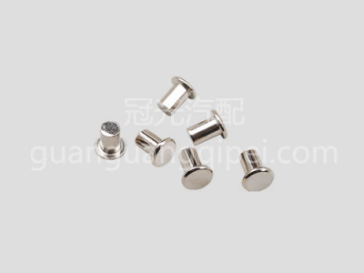 平衡铆钉（37）