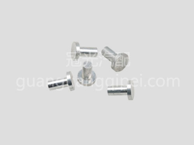 平衡铆钉（38）