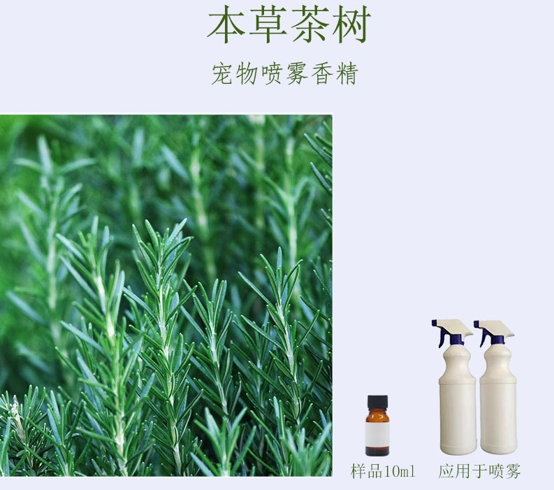 本草茶树