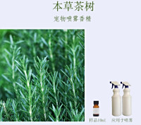 本草茶树