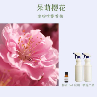 呆萌樱花