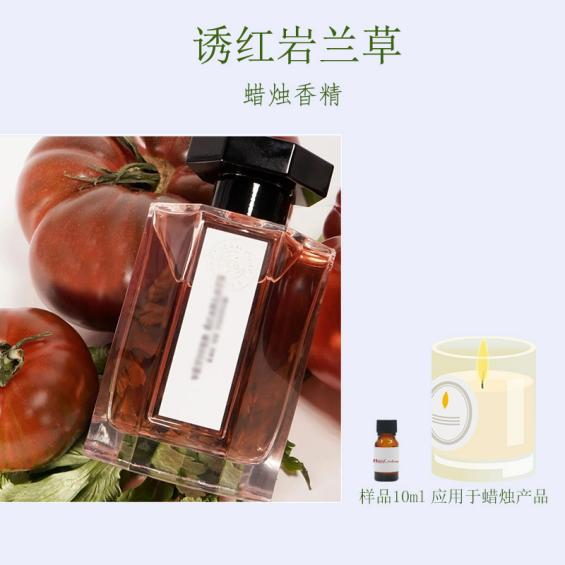 诱红岩兰草