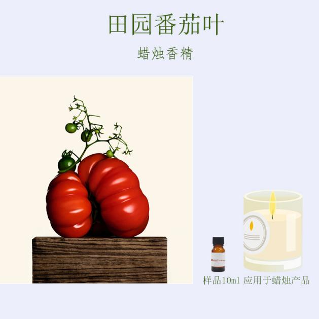 田园番茄叶