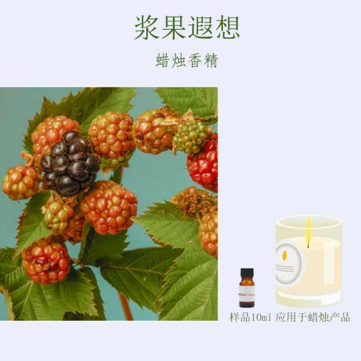浆果遐想