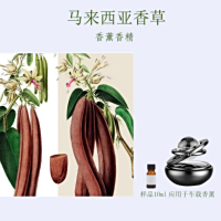 马来西亚香草