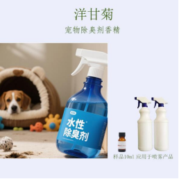 洋甘菊