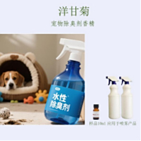 洋甘菊