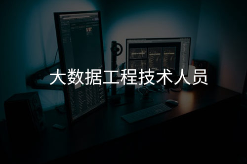 大数据工程技术人员