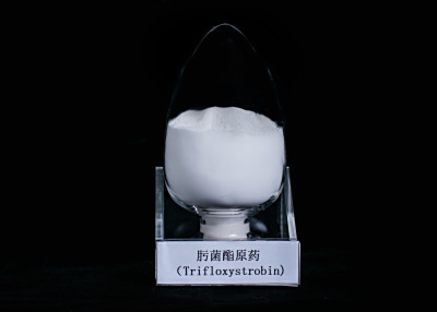 肟菌酯