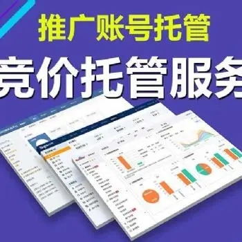竞价外包运营有哪些成功的案例和经验？有哪些可以借鉴和学习的地方？