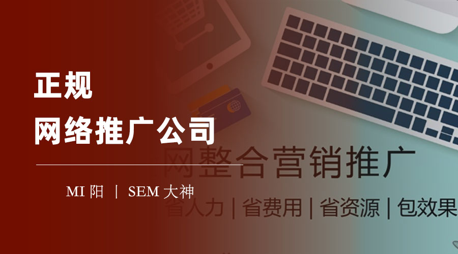 正规网络推广公司 - 如何通过网络推广实现品牌建设和营收增长的双赢
