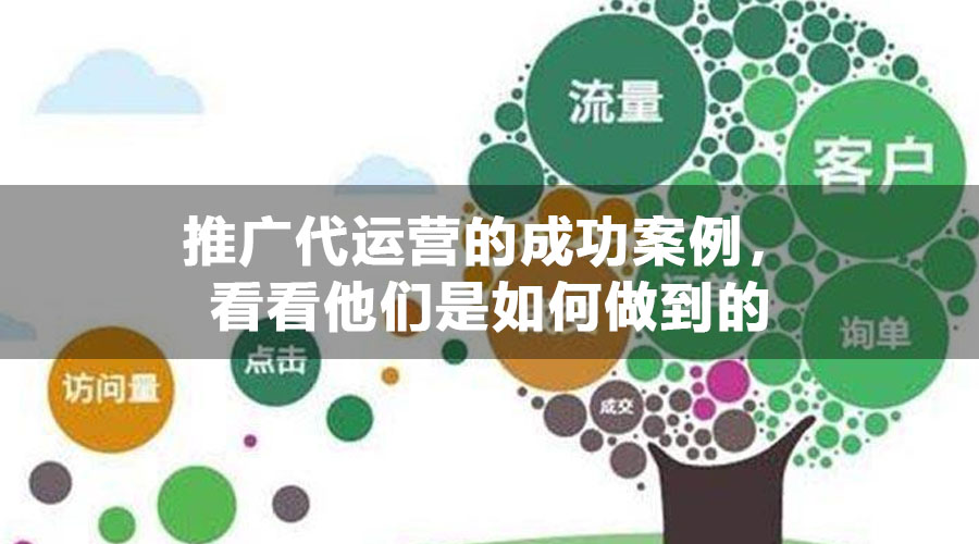推广代运营的成功案例，看看他们是如何做到的