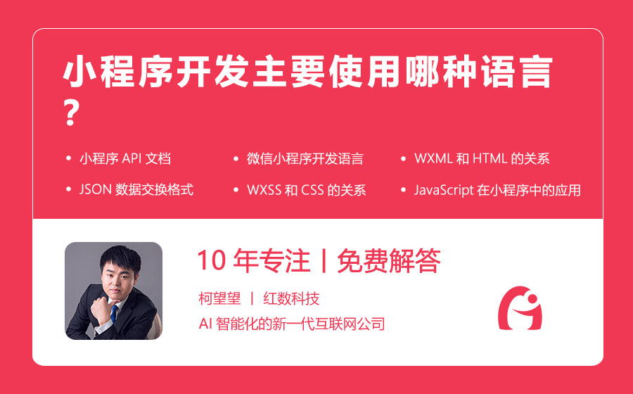 小程序开发主要使用哪种语言？