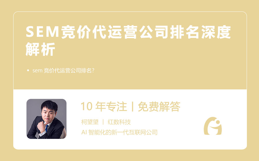 SEM竞价代运营公司排名深度解析