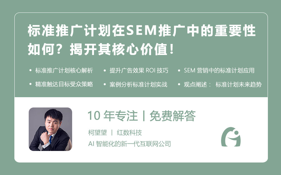 标准推广计划在SEM推广中的重要性如何？揭开其核心价值！