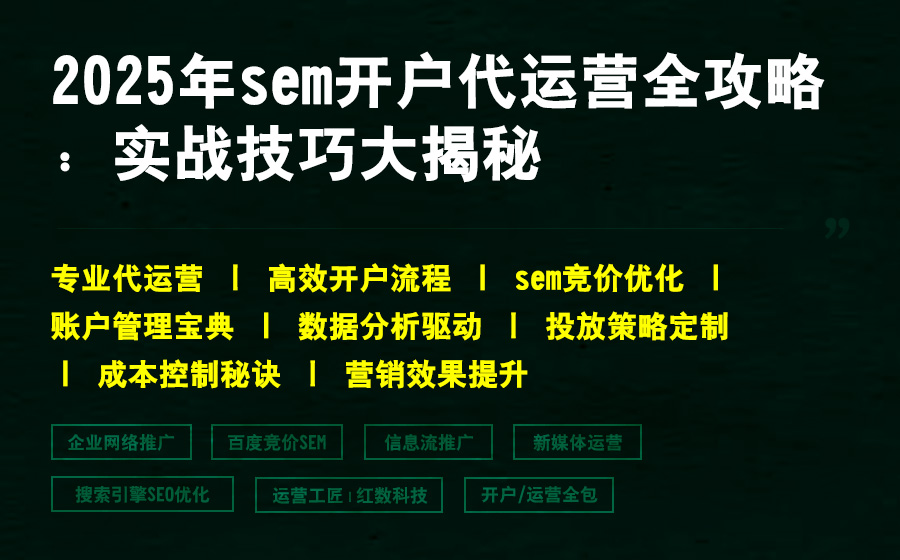 2025年sem开户代运营全攻略：实战技巧大揭秘