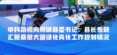 中科路恒向阳城县委书记、县长专题汇报桑田大道绿化亮化工作规划情况