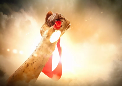 关于表彰 2019 年度先进集体及优秀员工的决定