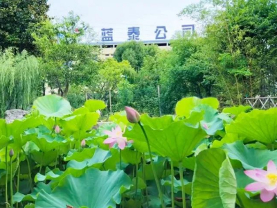 【战略合作】南京蓝泰交通设施有限责任公司