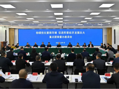 公司董事长何进参加省政协重点提案督办会议并交流发言