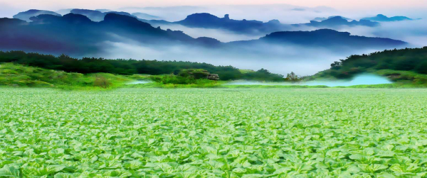 李记产业集团产品优势