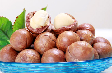 夏威夷果烘干工艺