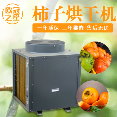 欧冠柿子烘干机