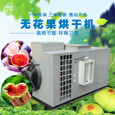 欧冠无花果烘干机