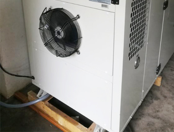 广东揭阳竹笋烘干项目